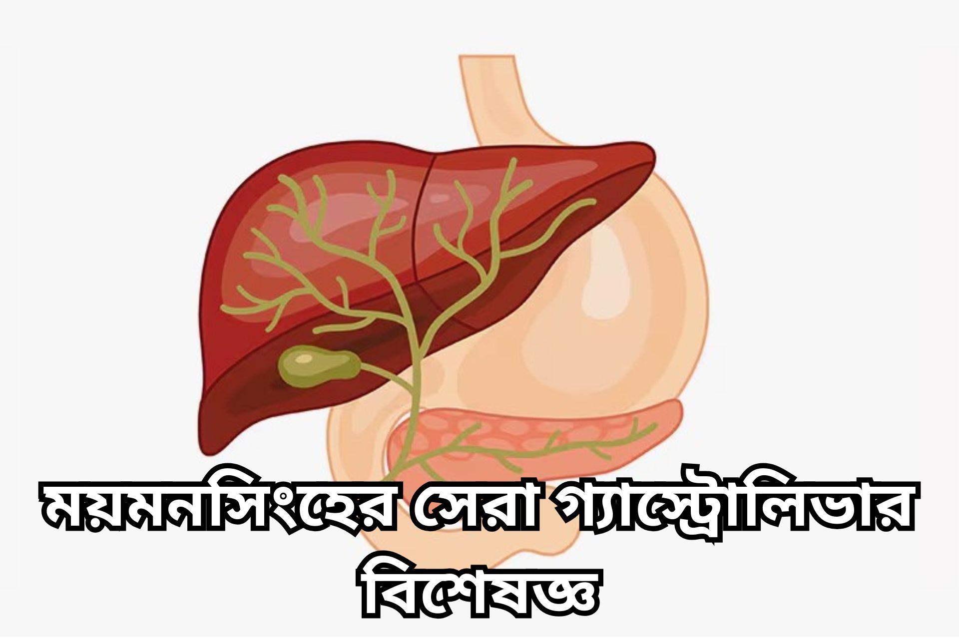 ময়মনসিংহের সেরা গ্যাস্ট্রোলিভার বিশেষজ্ঞ